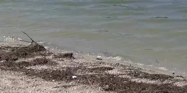 Manatee health officials issue water advisory for Palma Sola South