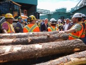 U.S. more than doubles Canadian softwood duties, starting immediately