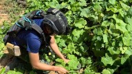 Thailand warns it may act in 'self-defense' after soldier hurt by a mine blast near Cambodian border