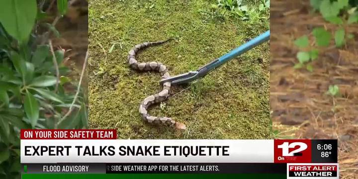 Widlife expert talks snake etiquette