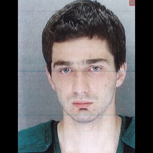 Bar fight in Mount Joy ends with man aiming loaded gun