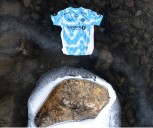 Bodø/Glimt, Champions League’s Arctic qualifier, raises awareness to melting of Svartisen