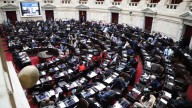 Nuevo revés para Gobierno: Diputados anuló el veto de emergencia en Discapacidad