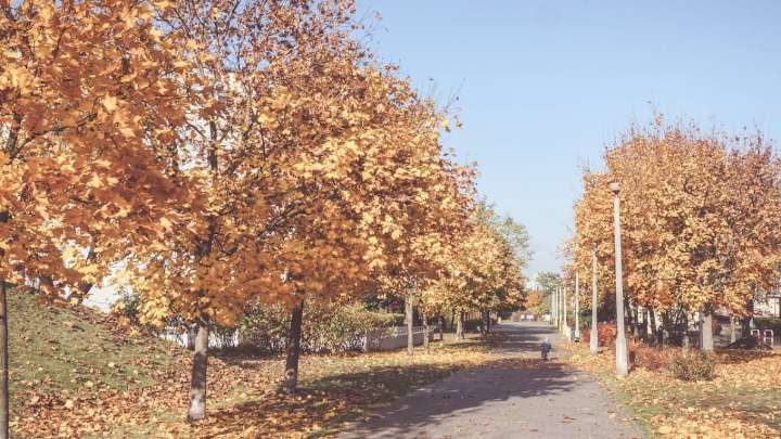 Otoño cálido, invierno más frío de lo normal e incremento de la actividad de huracanes: predicciones de El Almanaque del Agricultor 2025