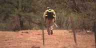 Why the monsoon is a ‘double-edged sword’ for northern Arizona wildfires