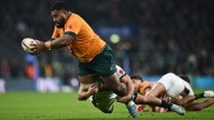Australia look to dogs of war in Ellis Park battle against Springboks