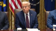 How have eight months of Trump impacted US democracy?
