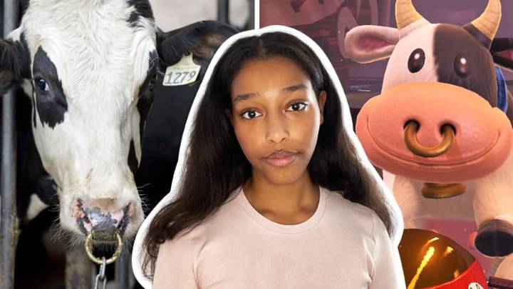 WATCH — ‘Remove the nose ring.’ Animal rights group calls out Nintendo
