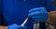 Measles outbreak is over, Texas health officials say