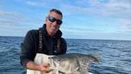 Fishermen in RI keep reeling in half eaten fish. Sharks are the culprit.