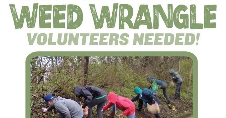 Volunteer at Howell Wetlands to safeguard local nature