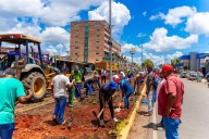 Ejecutan trabajos de embellecimiento en avenida Norte Sur 3