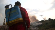 Incendios en España, en directo hoy: focos activos y última hora en Castilla y León y Galicia