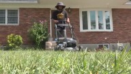 Local teen spends summer mowing lawns for people in need