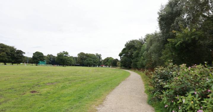 Woman tragically killed by falling tree branch 'in front of child' at park