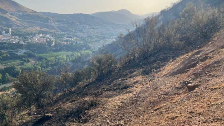 Cenes de la Vega vuelve a mirar con miedo a las llamas once años después