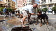 Catalunya afronta el peor día de la ola de calor con riesgo extremo de incendio en 133 pueblos
