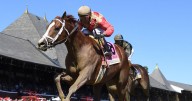 Antiquarian upsets Jockey Club Gold Cup after scary spill by Ortiz at start