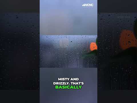 We #verify if #Charlotte #NC gets more #rain than #Seattle #WCNC #shorts