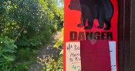 Jogger in Alaska seriously injured after bear attacks her, drags her 100 yards