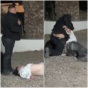 Video: patovicas golpearon a un adolescente en un conocido salón de fiestas en Chacras de Coria