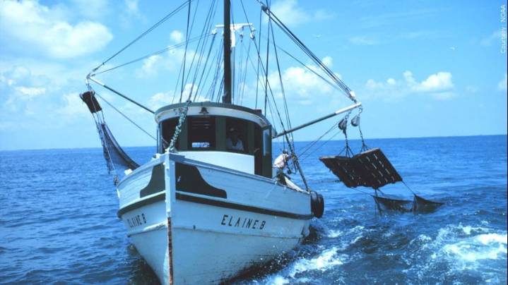Shrimper arrested by Wildlife and Fisheries agents for drug and gun charges after boat inspection