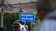 Florida judge orders dismantling of ‘Alligator Alcatraz’