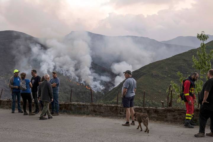 Última hora de los incendios en España, en directo | La directora de Protección Civil carga contra Castilla y León, Extremadura y Galicia por reclamar “imposibles”