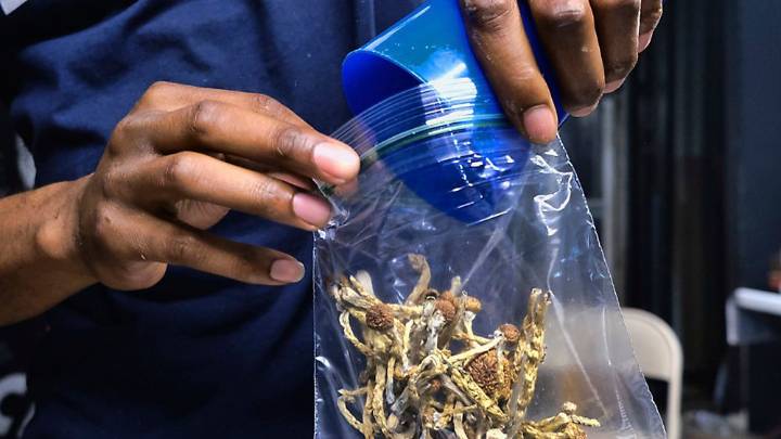 Psychedelic drugs get renewed push under Trump administration