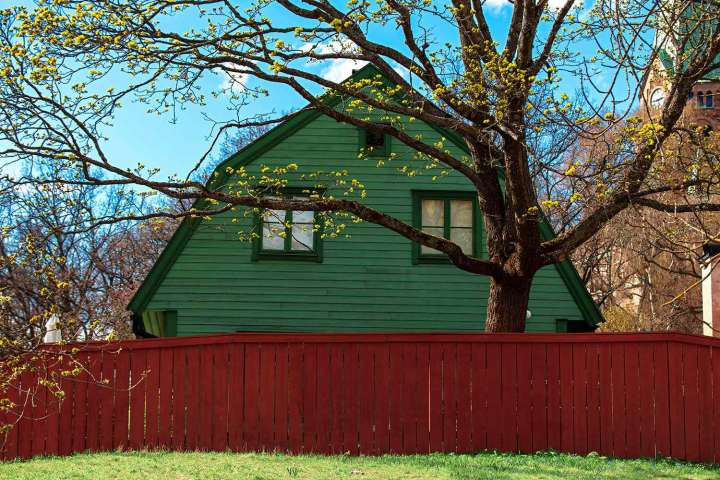 How to Handle Neighbor's Tree Hanging into Your Yard Legally, Ethically: Expert
