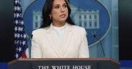 Gabbard slashing intelligence office workforce by 40%, cutting budget by more than $700 million