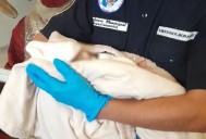 Madre abandona a recién nacido en templo de San Pedro Sacatepéquez y deja desgarradora carta