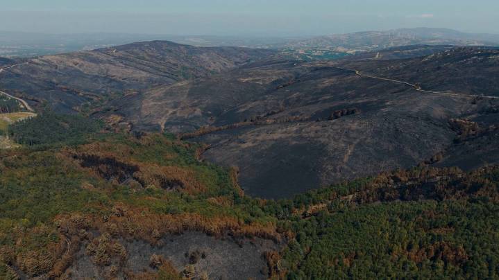 Estabilizado el incendio de Chandrexa de Queixa y Vilariño de Conso, que ha afectado a 19.000 hectáreas