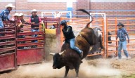 Expogan Chihuahua 2025 ofrecerá espectáculo inédito con Bull Riding y música gratuita en el Teatro del Pueblo