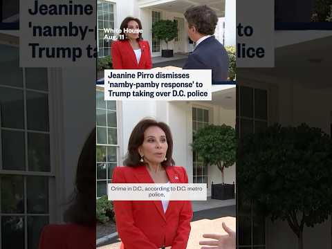 Jeanine Pirro dismisses 'namby-pamby response' to Trump taking over D.C. police
