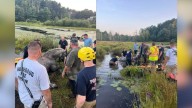 Firefighters rescue horse from swamp in Quinebaug
