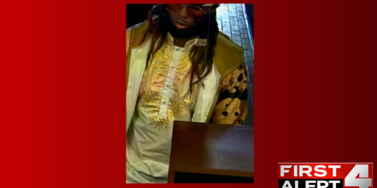 Police seek person of interest in North County bank robbery