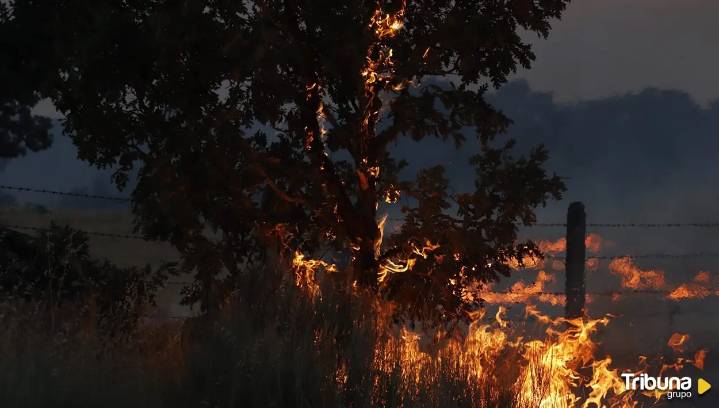 Los incendios en Salamanca: preocupación por la proximidad de los fuegos de Jarilla y Portugal