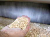 Sesame project targets 5,000