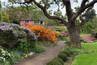 Wander in wonder: Victoria's Abkhazi Garden hosts free celebration