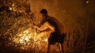 Los incendios no dan tregua: Galicia, Extremadura, Castilla y León y Asturias, devastadas por el fuego