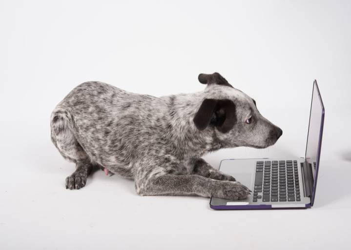 Datadog's Blowout-Yes, Its Quarter Was A Blowout, But No One Seems To Have Taken Note