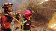 El 112 advierte de que esta planta muy común en los jardines de España "favorece la propagación del fuego"