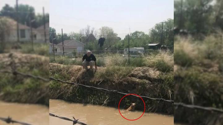 Utah Couple Spotted Something Furry Lying In The Canal, Only To Realize What It Is