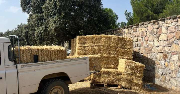 Madrid ha repartido 30.000 kg de paja entre los ganaderos afectados por el incendio de Tres Cantos