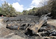 Asturias por fin no registra ningún incendio activo tras un agosto en llamas