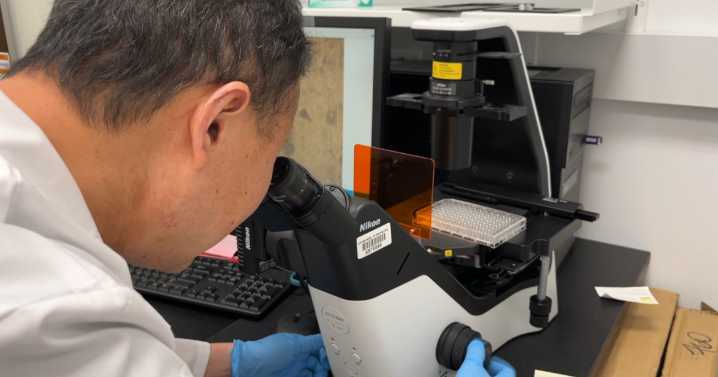 'This therapy can be applied to thousands': UK researcher makes breakthrough in breast cancer research