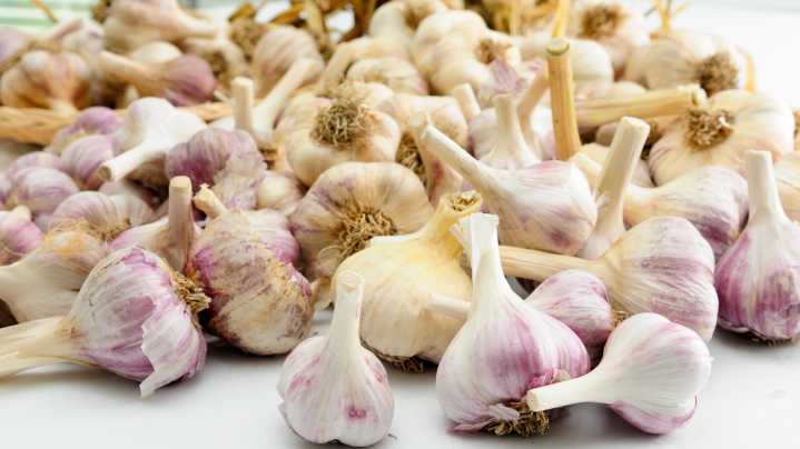 Garlic: How to use it in soup, sauces, salad dressings