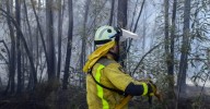 Precariedad laboral y sensación de riesgo afectan al bienestar de trabajadores forestales