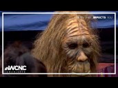 NC town's annual Bigfoot festival begins